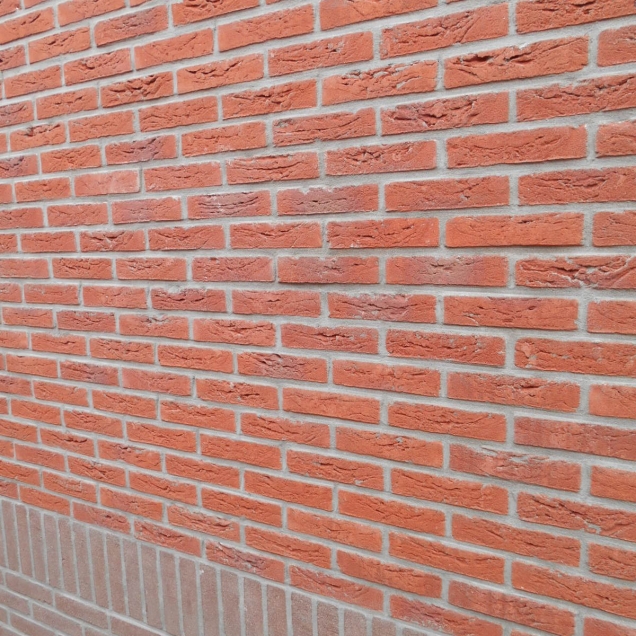 DSCN3559