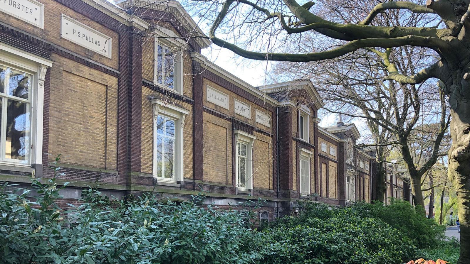 Artis bibliotheek gevel